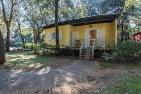 Houses and Apts. in San Vincenzo 23708
